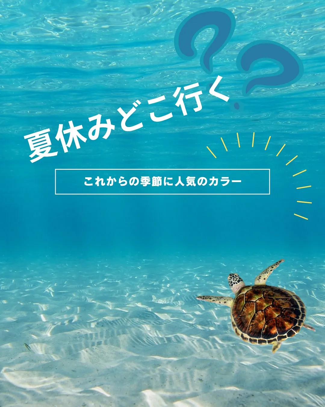 夏休みどこ行く？